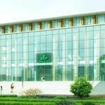 green-world-int image