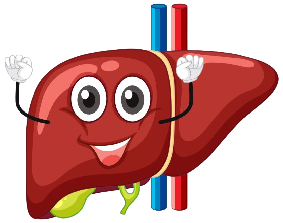 Liver Protection Package